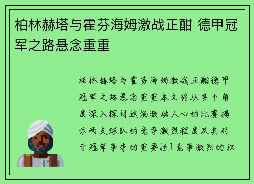 柏林赫塔与霍芬海姆激战正酣 德甲冠军之路悬念重重 柏林赫塔与霍芬海姆激战正酣 德甲冠军之路悬念重重